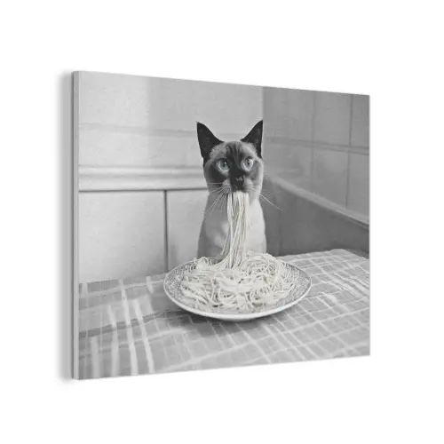 Kat - Siamees - Zwart Wit - Schattig - Dieren PET vilt klein -3d