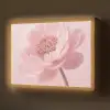 Bloem - Pioenroos - Roze Light Box met batterij (Wandlamp) middel -z3d_website