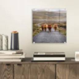 Schotse Hooglanders - Weg - Landschap - Kudde plexiglas 5mm klein -sfeer1