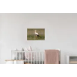 Ooienvaar - Bloemen - Weide - Kleurrijk Muursticker klein -kinderkamer