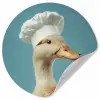 Eend - Koksmuts - Cute - Vogel Wandcirkel behangsticker klein -3d