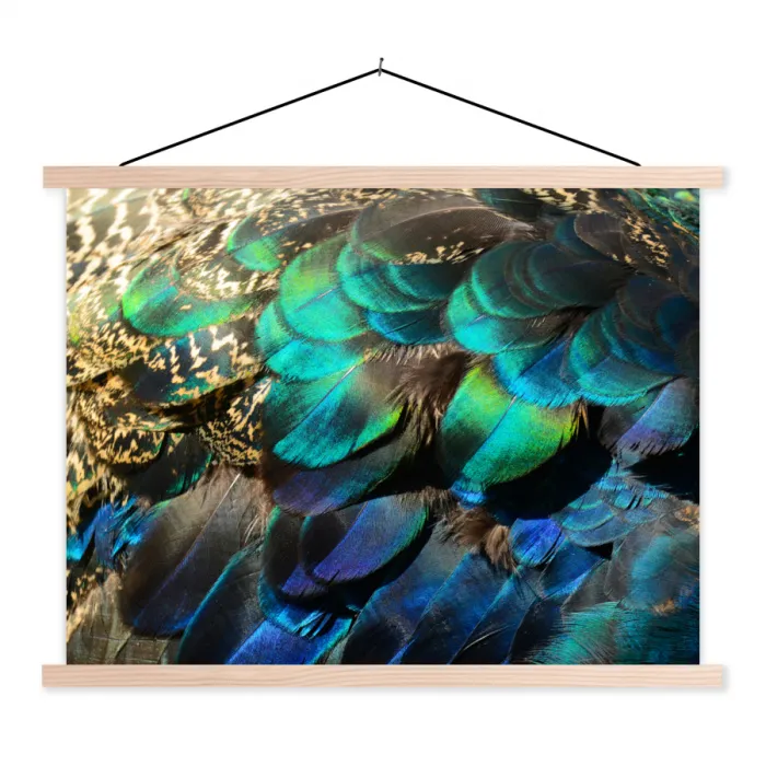 Veren - Pauwveren - Pauw textielposter latten blank klein -3d