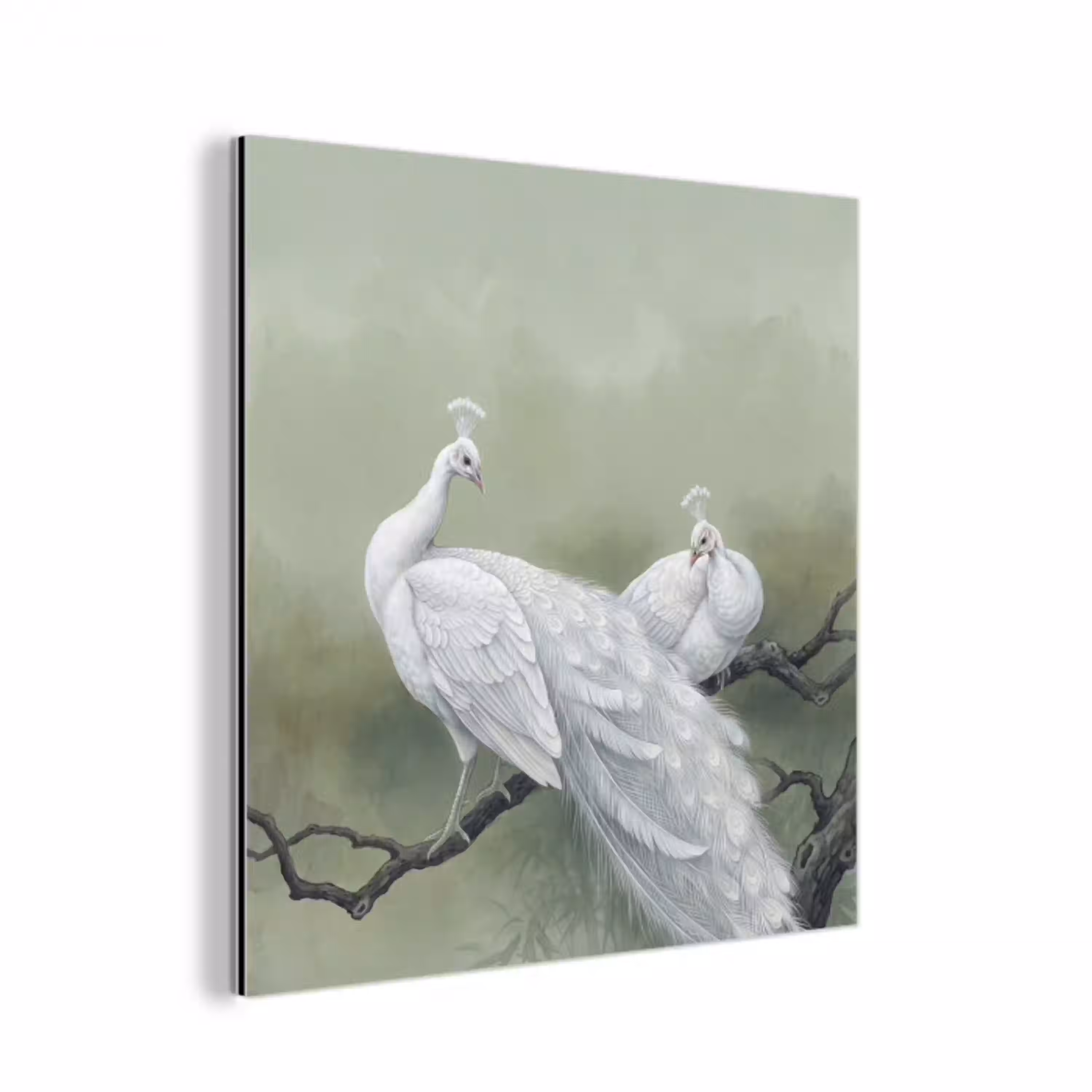 Pauwen - Wit - Natuur - Groen aluminium wit klein -3d