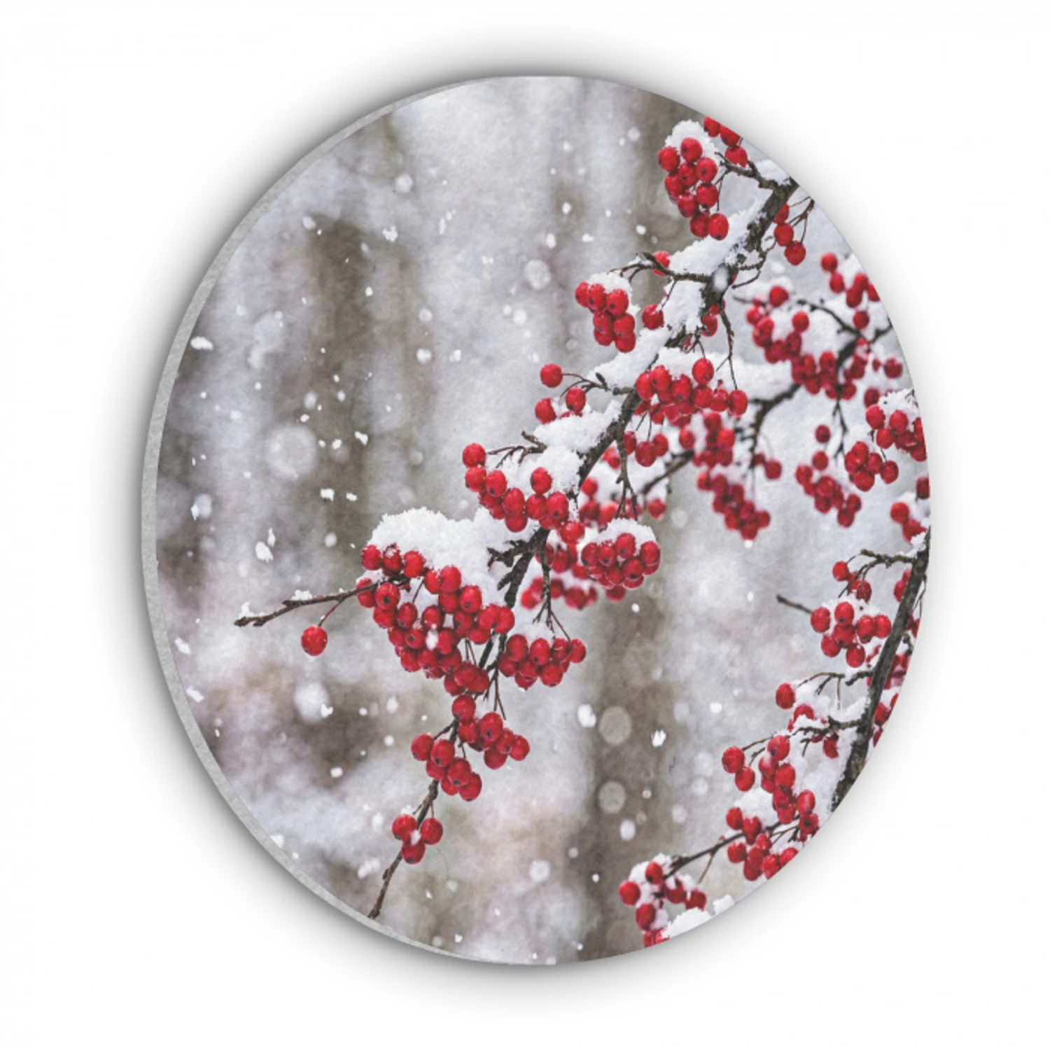 Bessen - Takken - Sneeuw - Winter - Kleurrijk Akoestische PET Vilt - Rond klein -3d
