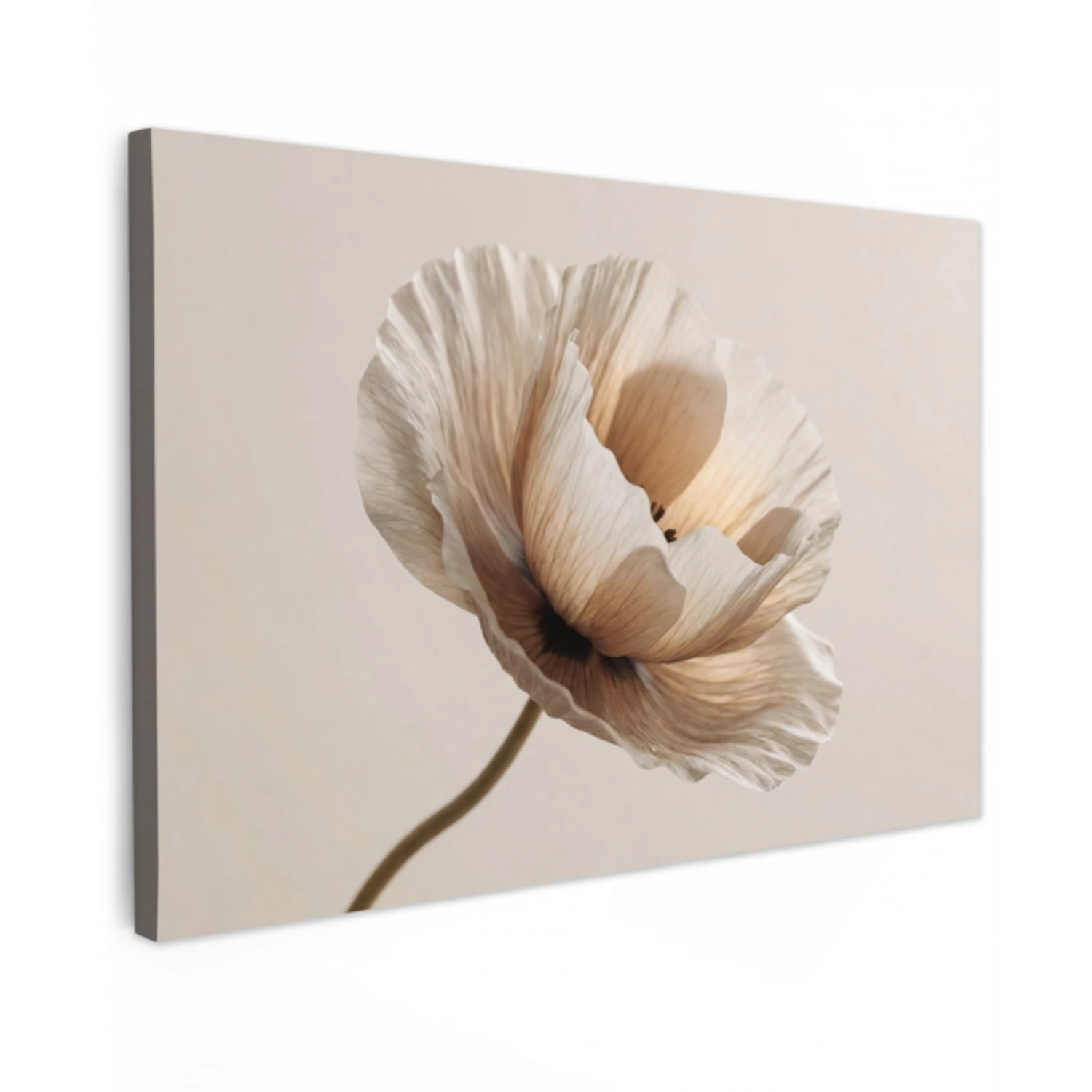 Bloem - Beige - Crème Tuinposter op houten frame 2 cm dik klein -3d