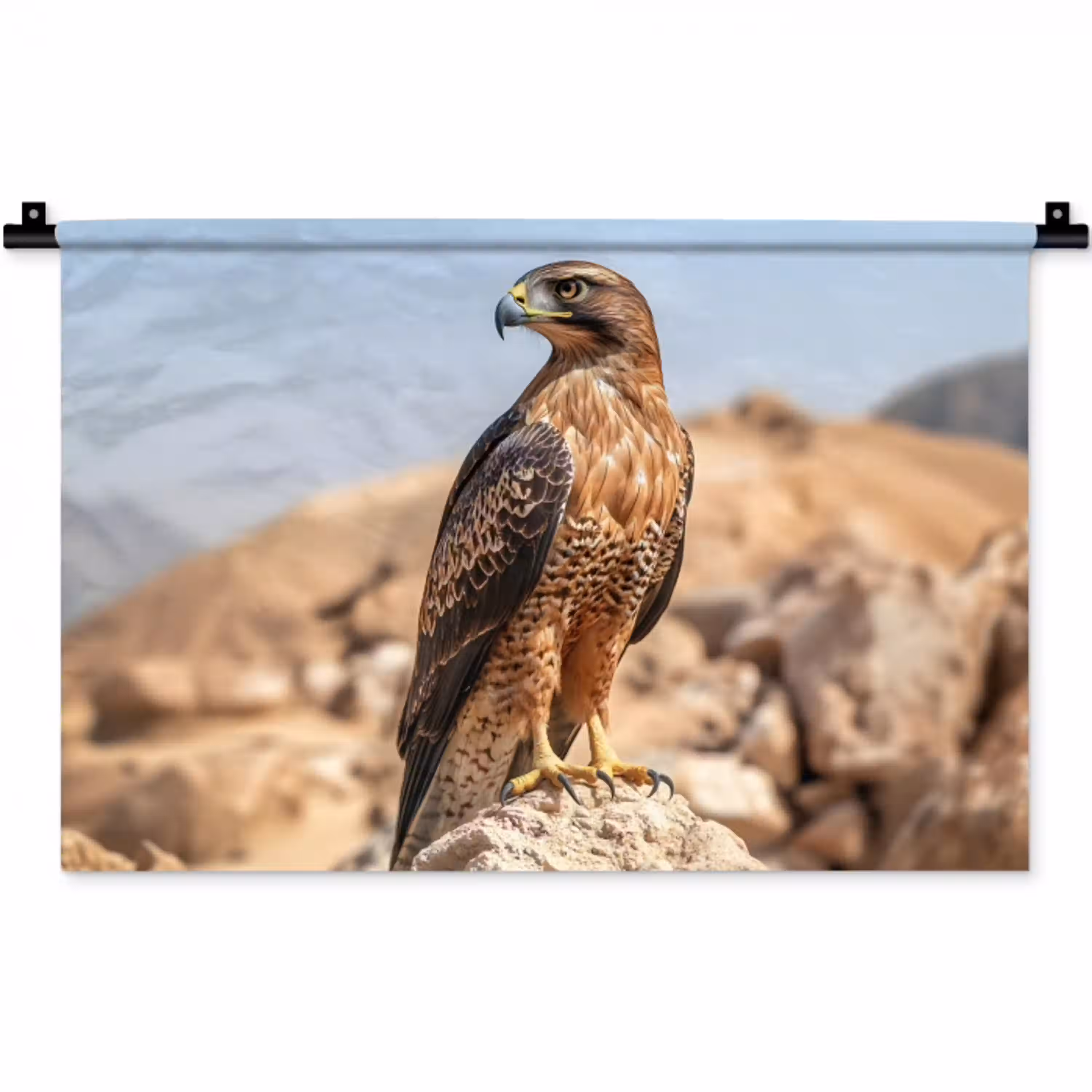 Valk - Vogel - Rots - Macht Wandkleed katoen klein -zz3d