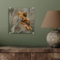 Zonnehoed - Droogbloemen - Geel - Warm plexiglas 5mm klein -sfeer3