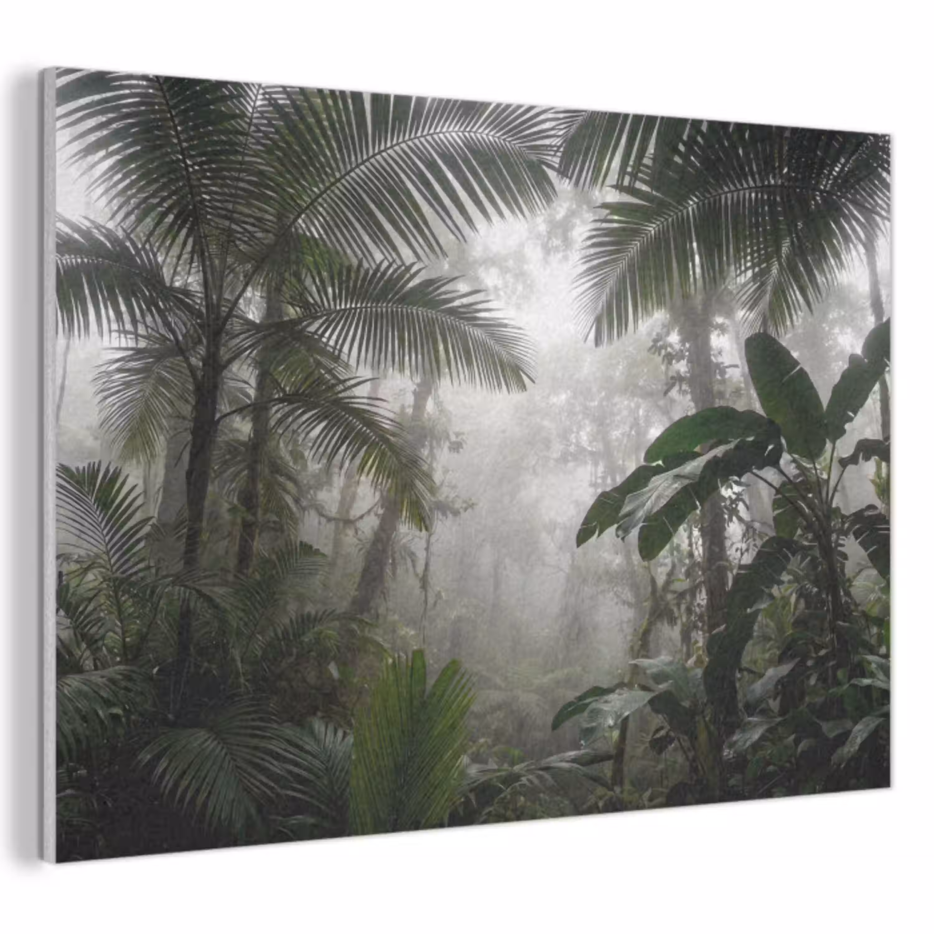 Natuur - Jungle - Mist - Groen - Bladeren PET vilt klein -3d