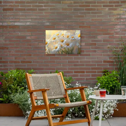 Madeliefjes - Wit - Zonlicht Tuinposter op houten frame 2 cm dik klein -sfeer3