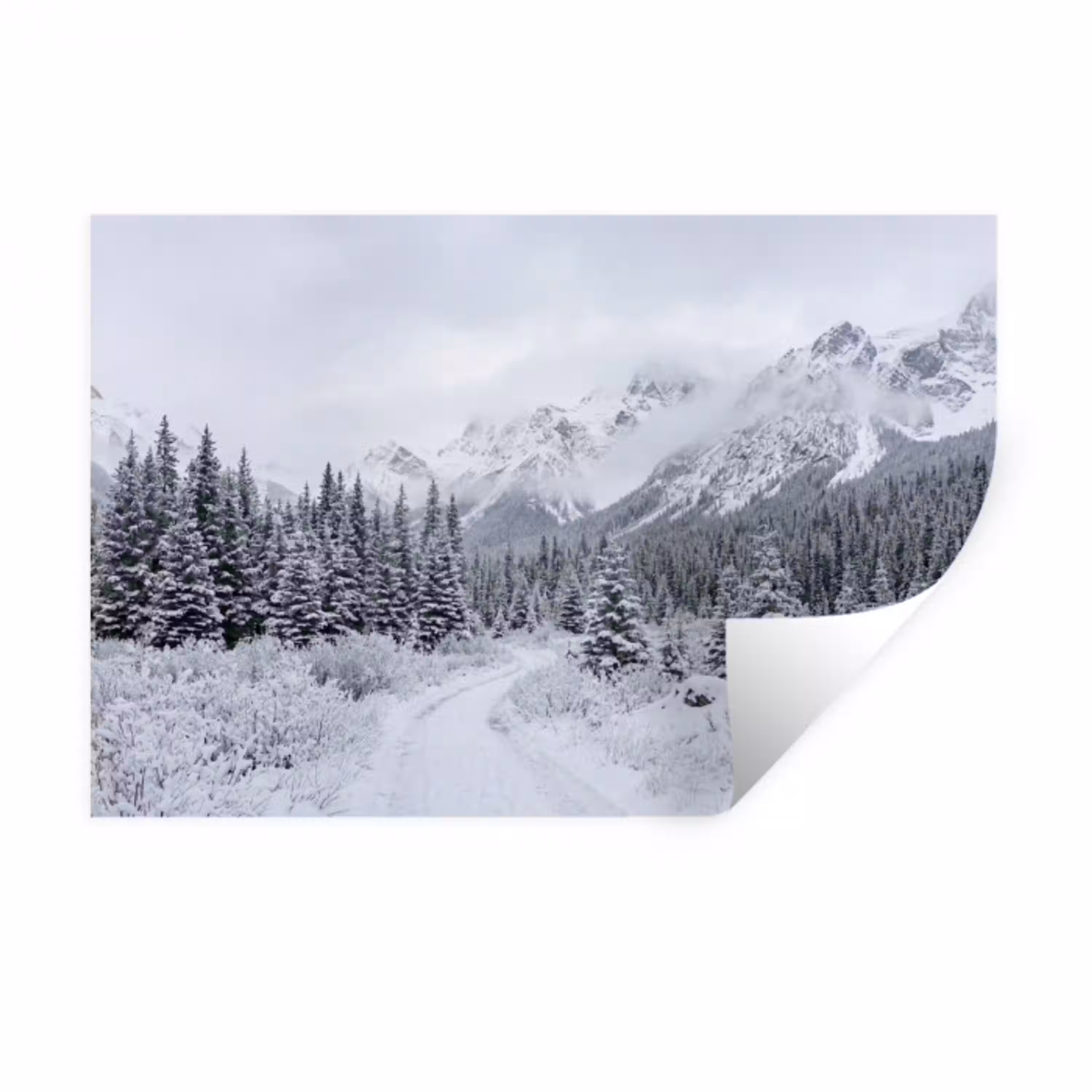 Weg - Bergen - Sneeuw - Naaldbos - Avontuurlijk Muursticker klein -3d