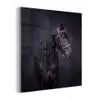 Portret - Paard - Donker plexiglas 5mm klein -z3d