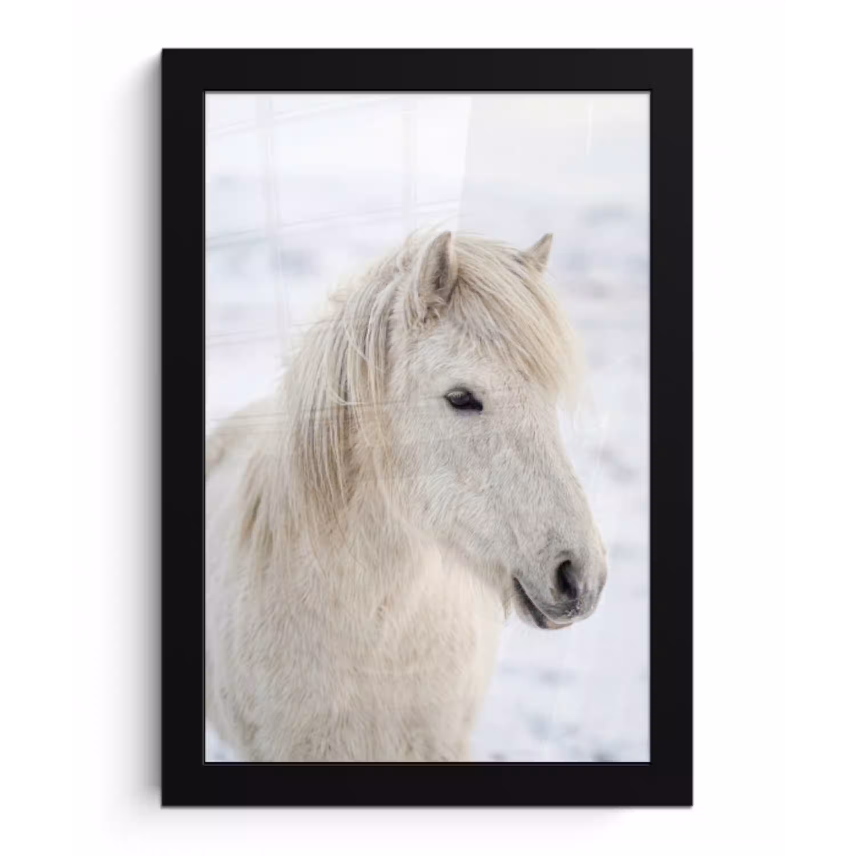 Paard - Kop - Winter - Dieren - Wit fotolijst zwart zonder passe partout klein -3d