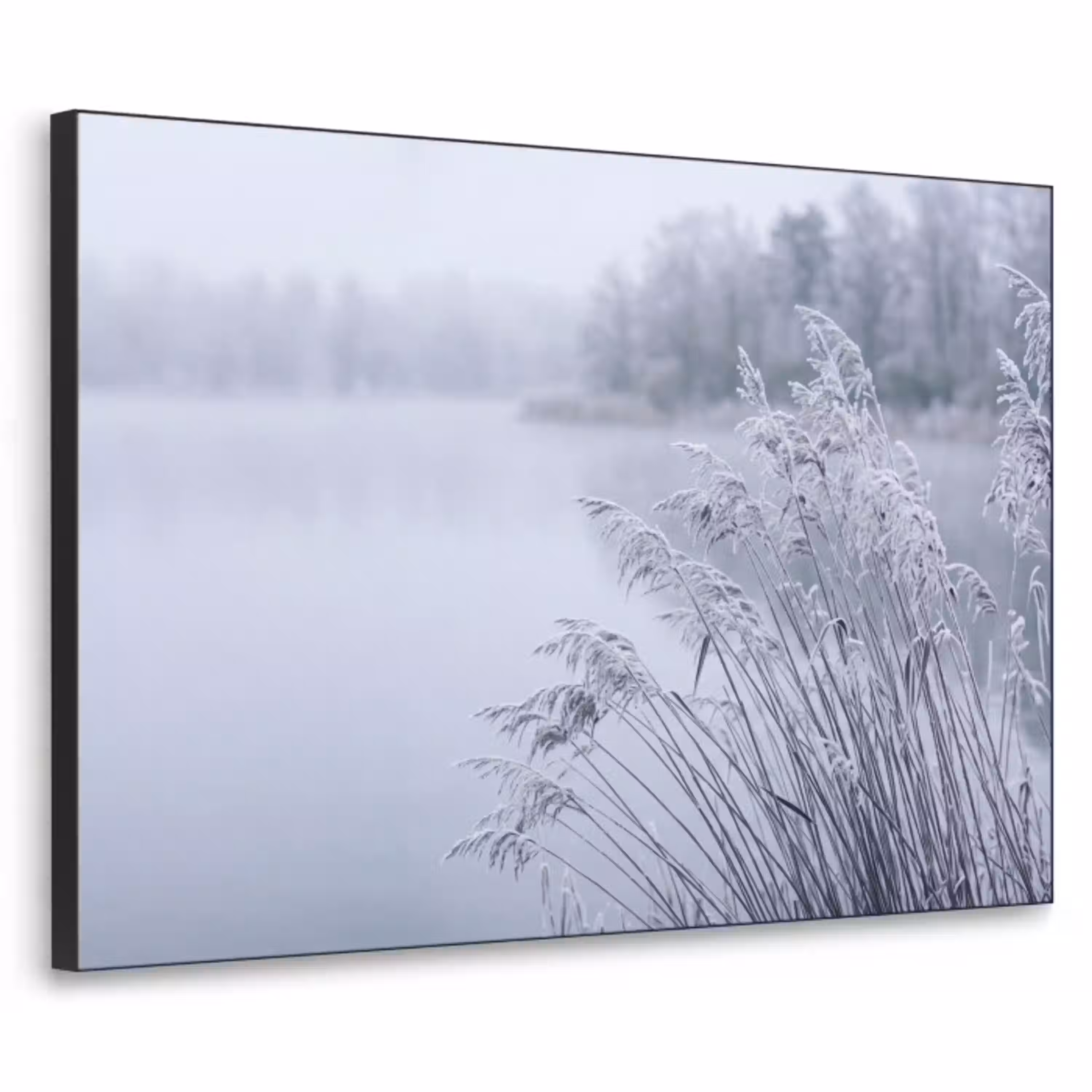 Riet - Bevroren - Winter - Natuur Textielframe zwart klein -3d