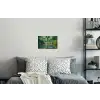 Brug - Hout - Vijver - Waterlelies Muursticker klein -slaapkamer