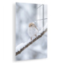 Vogeltje - Sneeuw - Tak - Winter - Zacht plexiglas 5mm klein -zzzproduct_nieuw