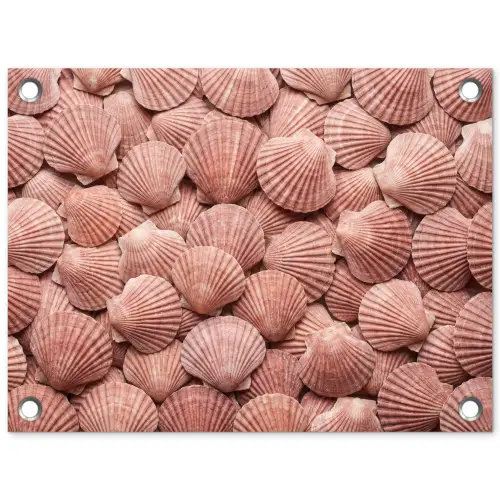 Schelpen - Patroon - Roze tuinposter los doek klein -3d