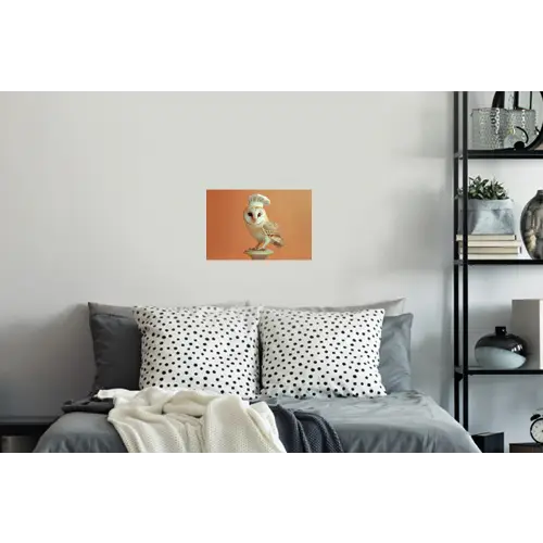 Kerkuil - Koksmuts - Oranje - Vogel Muursticker klein -slaapkamer