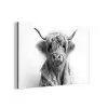 Schotse Hooglander - Koe - Badjas - Zwart wit aluminium wit klein -3d