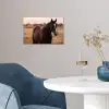 Paard - Zonsondergang - Bruin poster papier klein -sfeer3