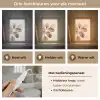 Gedroogde plant - Natuur - Bruin - Planten Light Box met kabel (Tafellamp) klein -USP_lichtkleurNL