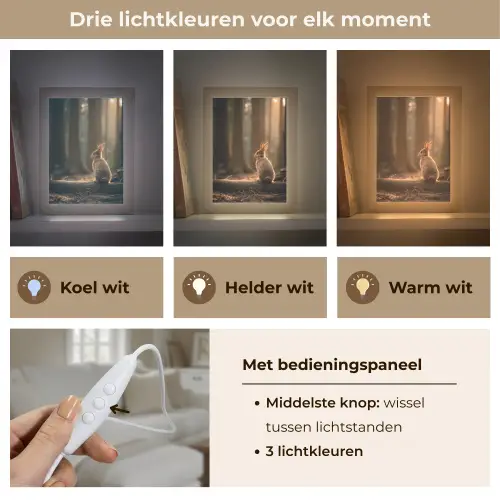 Konijn - Bos - Zonnestralen Light Box met kabel (Tafellamp) klein -USP_lichtkleurNL