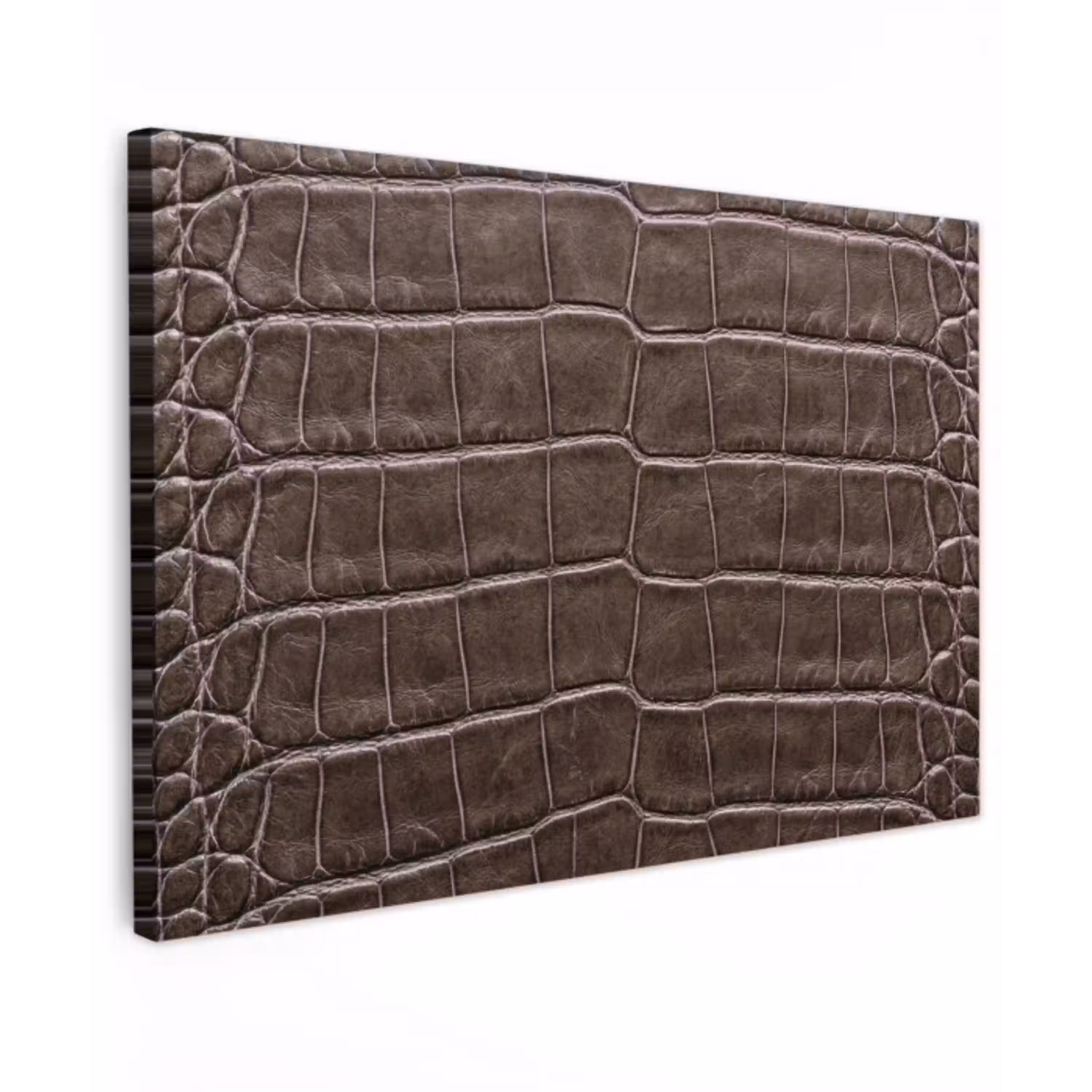 Leer - Krokodil - Mat Tuinposter op houten frame 2 cm dik klein -3d
