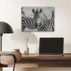 Zebra's - Zwart - Wit PET vilt klein -sfeer5