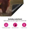 Schotse hooglander - Dieren - Landschap - Zonsondergang - Koe Inductie beschermer vinyl 3mm klein -wsfeer4_website