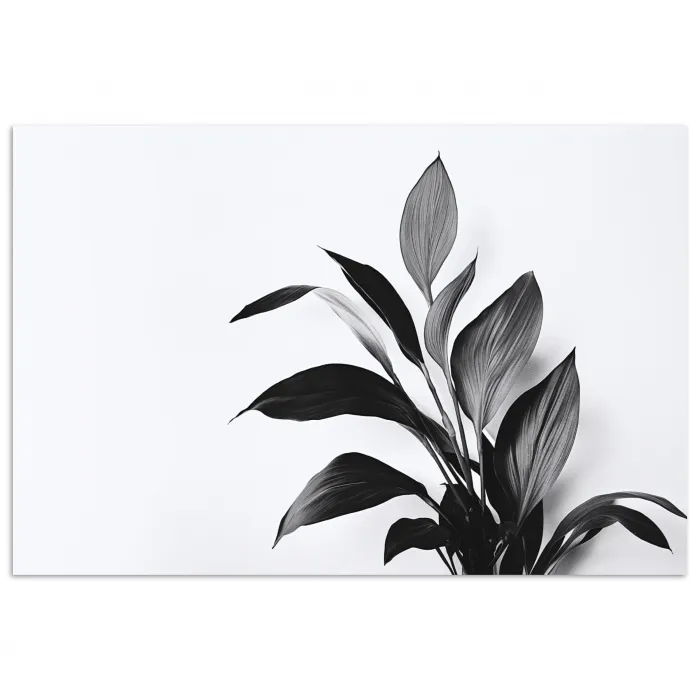 Plant - Bladeren - Minimalistisch - Zwart poster papier klein -3d