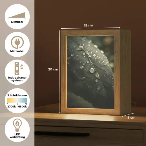Blad - Groen - Nerven - Regendruppels Light Box met kabel (Tafellamp) klein -USP_NL