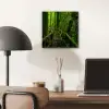 Jungle - Brug - Mos - Natuur - Tropisch aluminium wit klein -sfeer5