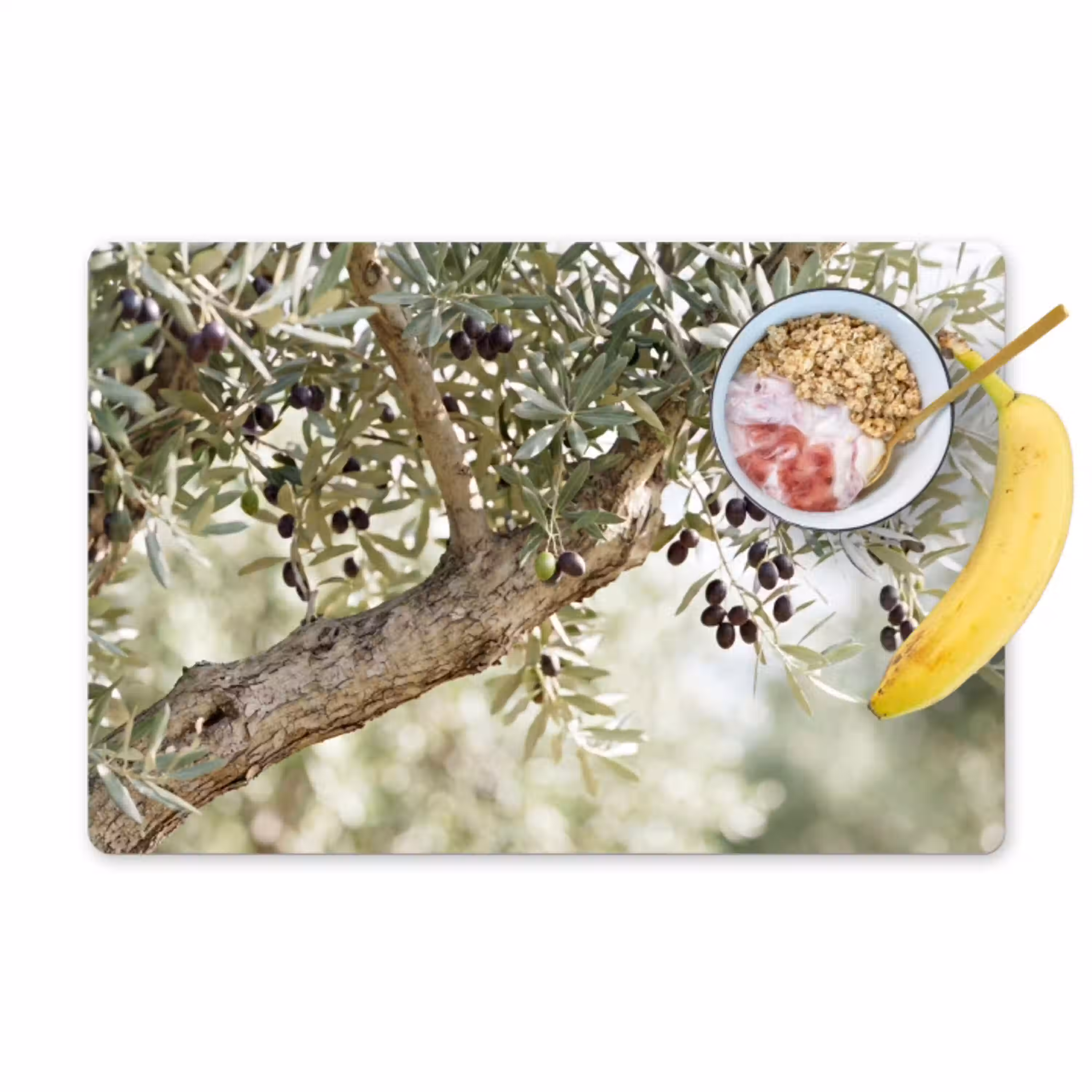 Olijfboom - tak - groen Placemat vinyl groot -zzzproduct_Kitchenyeah-website