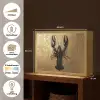 Kreeft - Zwart - Goud - Luxe Light Box met batterij (Wandlamp) middel -USP_websiteoverzichtNL