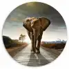 Olifant - Weg - Dieren - Zonsondergang - Landschap Wandcirkel kunststof plaat 5mm dik klein -3d