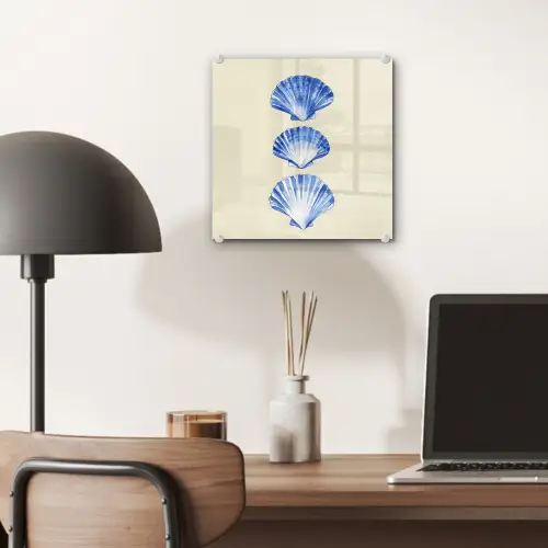 Schelpen - Blauw - Beige plexiglas 5mm klein -sfeer6