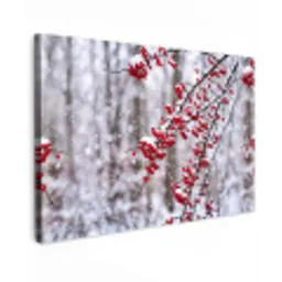 Bessen - Takken - Sneeuw - Winter - Kleurrijk canvas 2cm klein -z3d