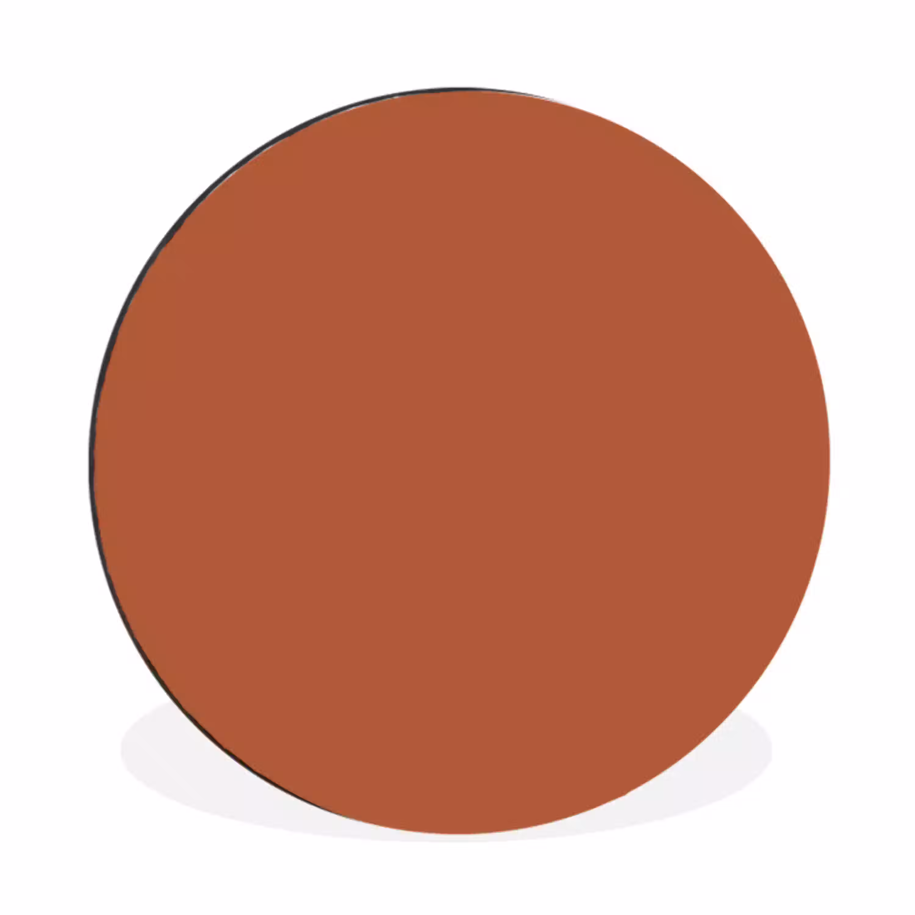 Burnt - Sienna - Oranje Wandcirkel aluminium klein 190 -3d