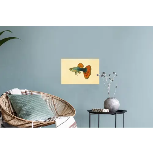 Vis - illustratie - Stippen - Oranje Muursticker klein -plant