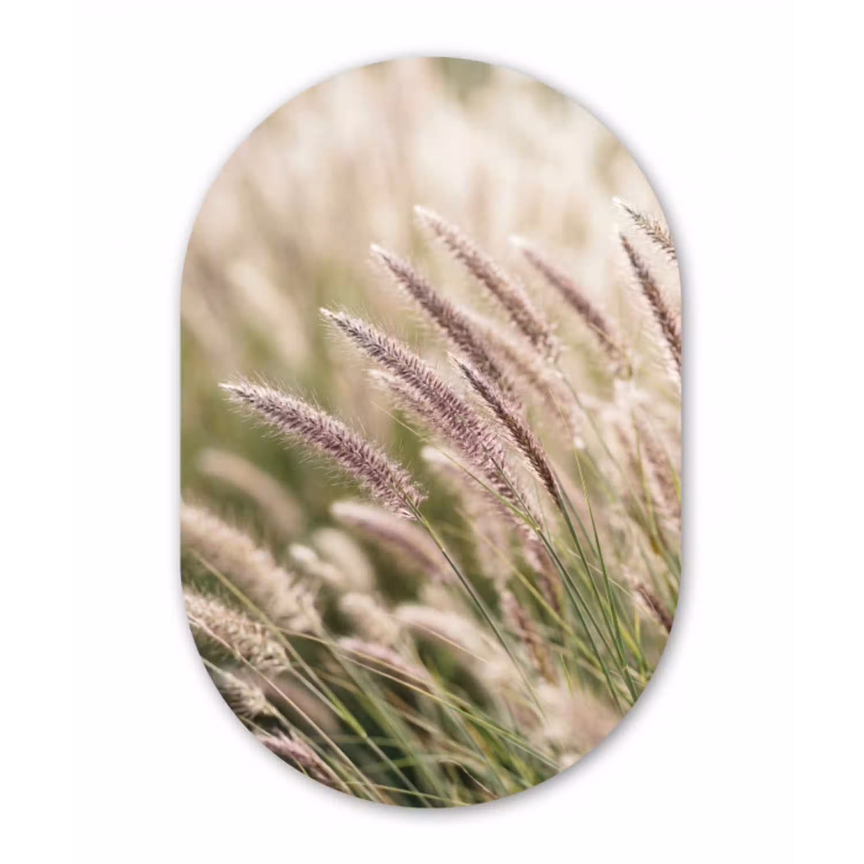 Gras - Close up - Groen Wandcirkel Ovaal Aluminium middel -3d
