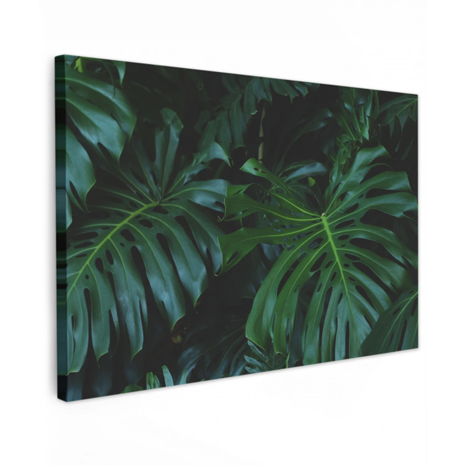 Monstera - Bladeren - Tropisch - Jungle Tuinposter op houten frame 2 cm dik klein -3d