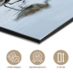Vogels - Water - Grijs aluminium wit klein -closeup_NL