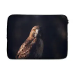 Roofvogel - Buizerd - Bruin laptophoes neopreen klein -3d