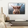Schotse hooglander - Koe - Dieren - Berg - Natuur canvas 2cm klein -sfeer6