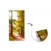 Bos - Pad - Bomen - Groen - Zon - Natuur fotobehang vinyl groot -3d