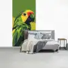 Papegaai - Groen - Snavel - Abstract fotobehang vinyl groot -slaapkamer