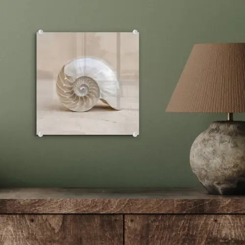 Schelp - Spiraal - Beige plexiglas 5mm klein -sfeer3