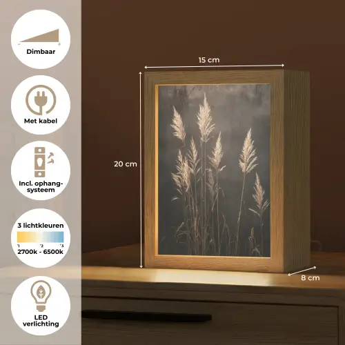 Siergras - Pluimen - Verlichting - Zwart Light Box met kabel (Tafellamp) klein -USP_NL