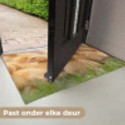 Pijltje - Eend - Natuur - Geel Deurmat klein -USP_NL
