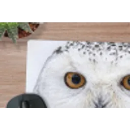 Sneeuwuil - Oog - Wildlife - Wit muismat rubber klein -closeup