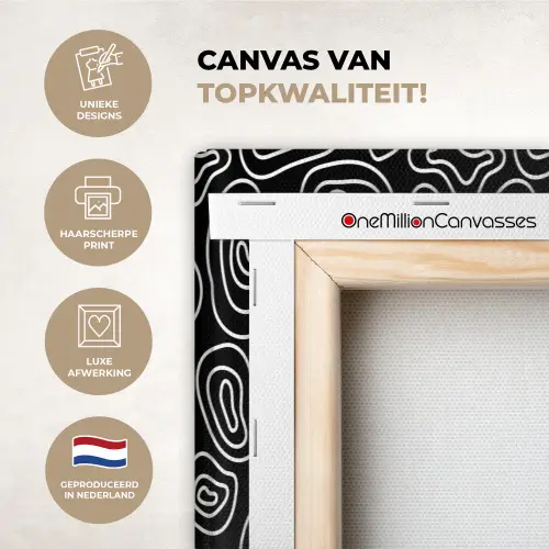 Lijnen - Patronen - Vloeiend - Bogen canvas 2cm xxl 828 -sfeer2